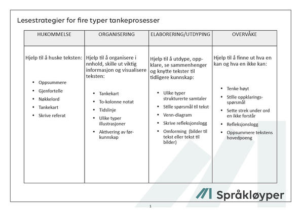 Skjema for leseforståelse